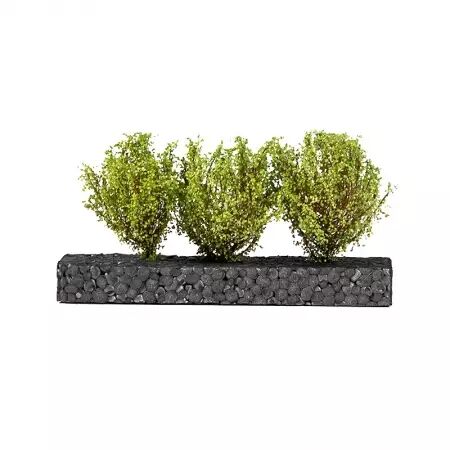 Light Green Bushes 4-6Cm - Dioramas Vegetation - Ak Interactive