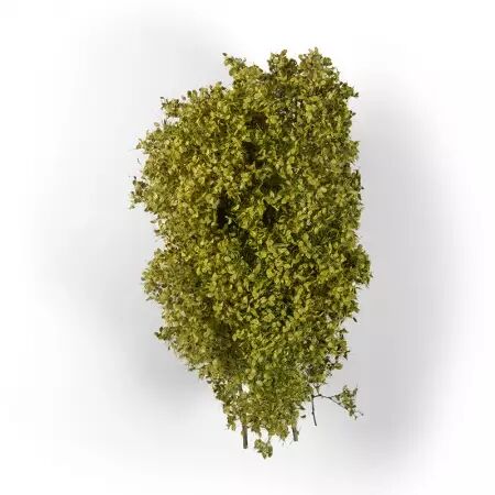 Spring Filigree Bushes - Dioramas Vegetation - Ak Interactive