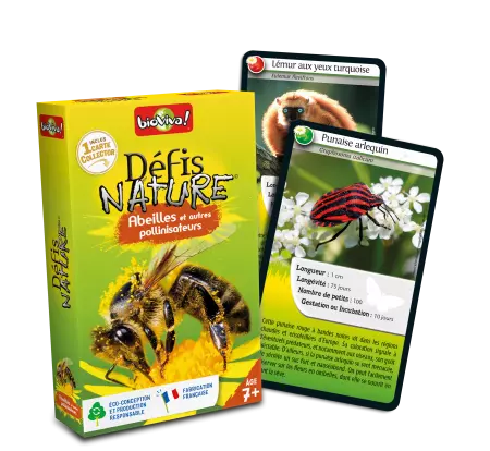 Défis Nature - Abeilles et autres pollinisateurs