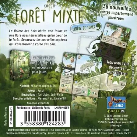 Forêt mixte - Extension : Lisière de forêt