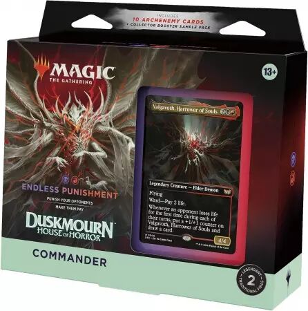 Magic the Gathering : Duskmourn - Endless Punishment (english)