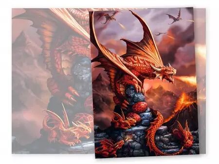 Puzzle Premium 1000 pièces - Fire Dragon