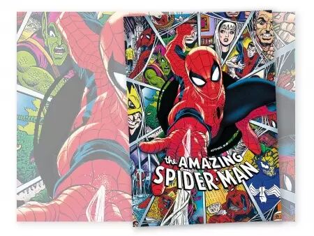 Puzzle Premium 1000 pièces - Spiderman